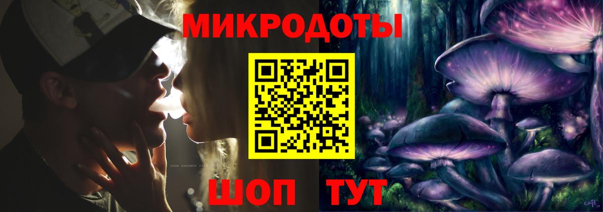 Псилоцибиновые грибы Psilocybine cubensis Курчатов
